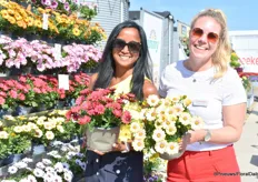 The ladies of Beekenkamp, Sirekit Mol and Annieck Ruijgrok, with the Osteospermum. It has now been introduced in six new colors along with an upgrade for the logo.